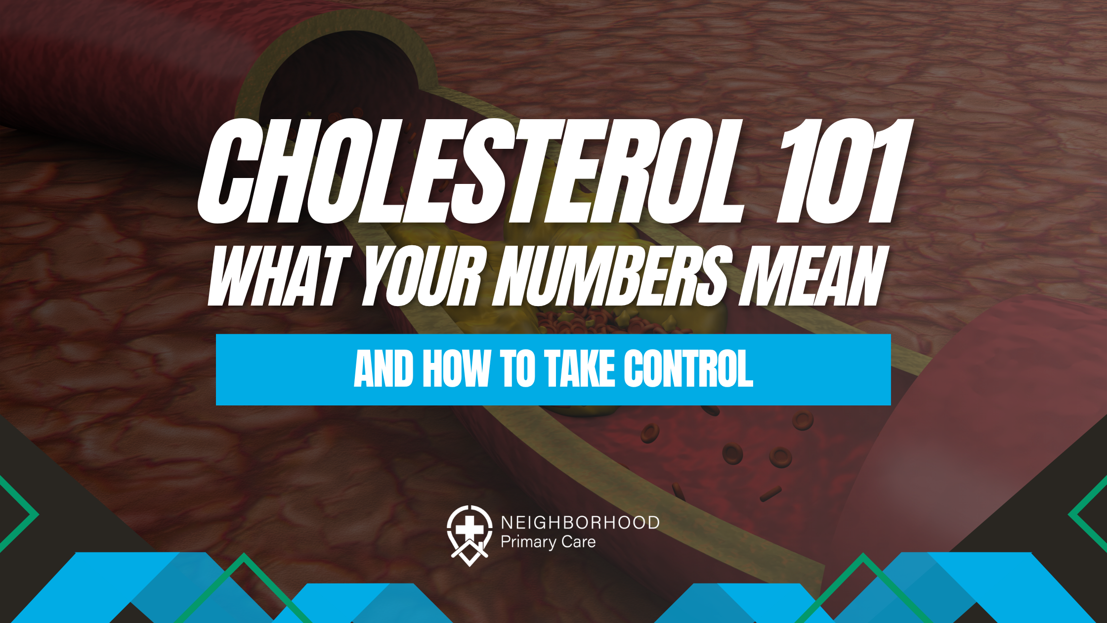 Cholesterol 101