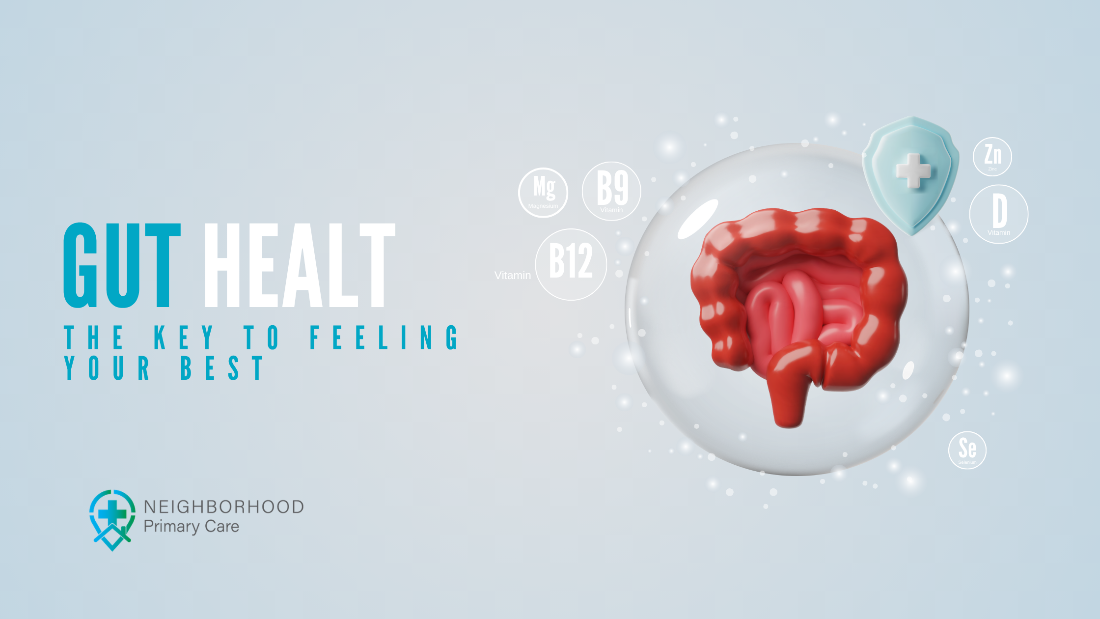 Understanding Gut Health: The Key to Feeling Your Best